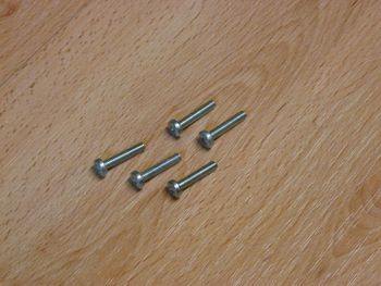 Lens head screw