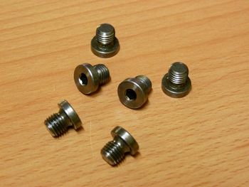 Plug screw