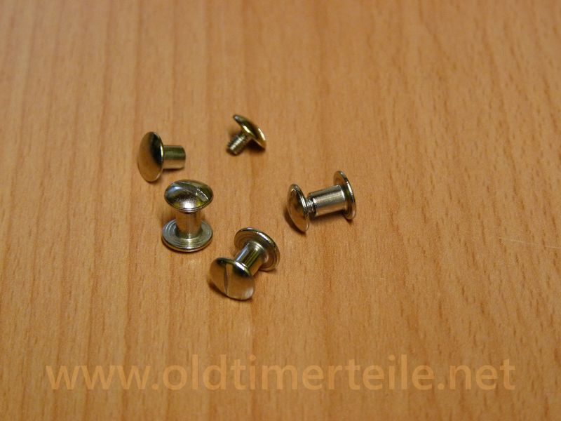 Tornillo especial
