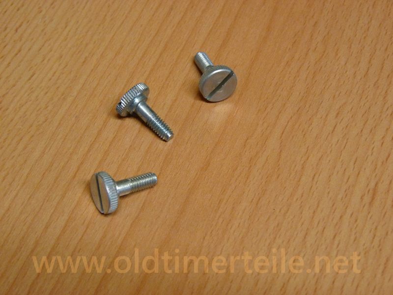 Idle speed screw