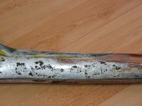 Bumper half – image 4